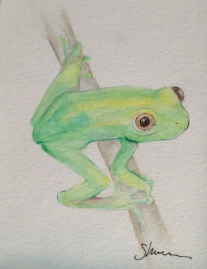 painting of frog in watercolor